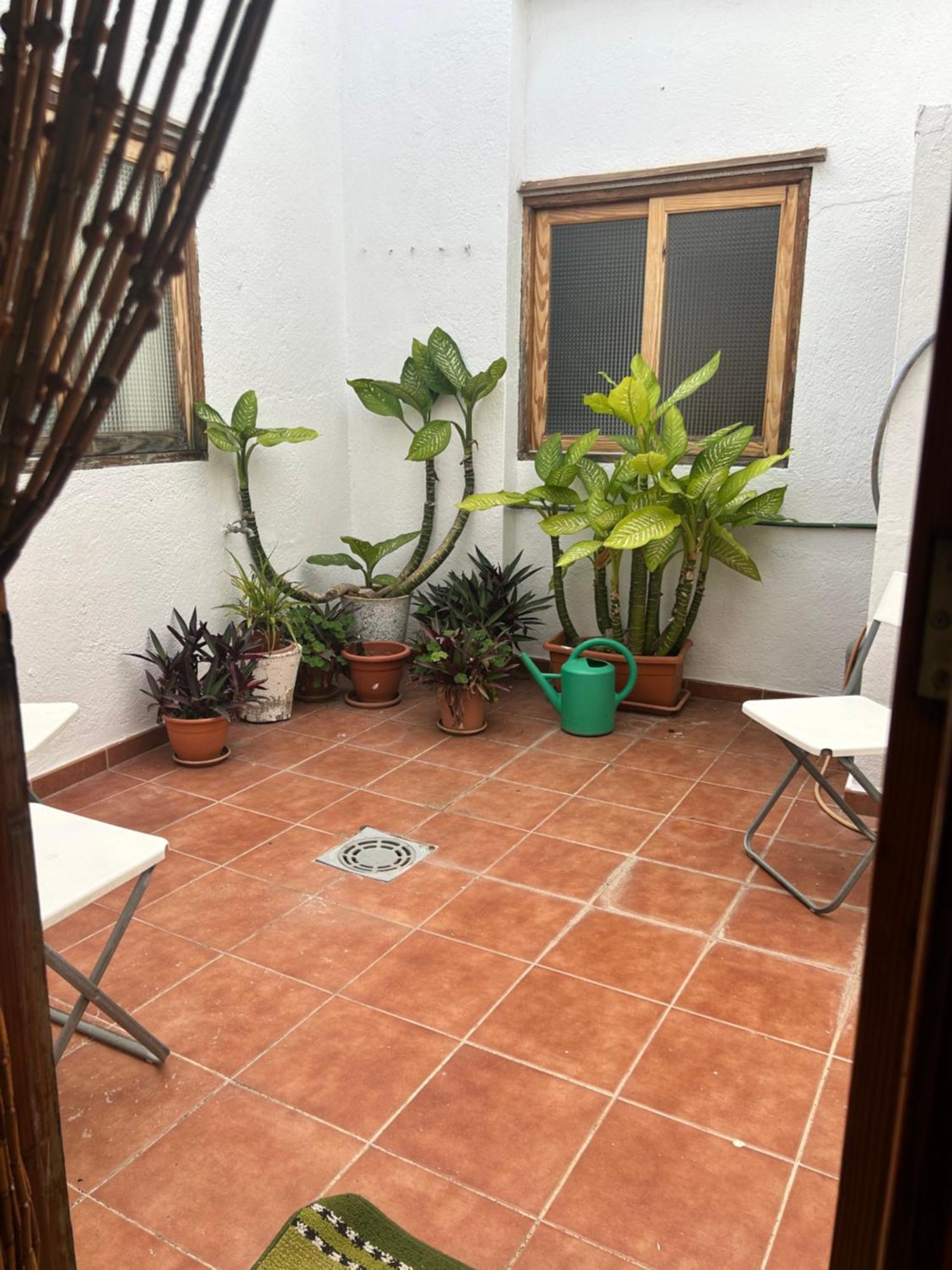 Casa Rural Teresita Entera Tranquila Llena De Bienestar Güimar Dış mekan fotoğraf